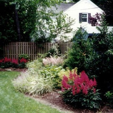 boarder lawn ideas