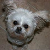 Linda Kruz's photo