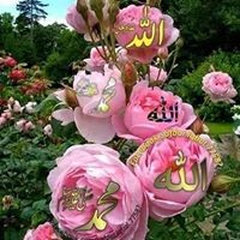 Sanjar
