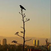 Nada Swailam's photo