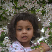 Foto von bhavin patel