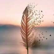 Salma Sayed's photo
