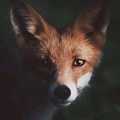 Tarah Tran's photo