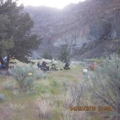 Steve Gab's photo