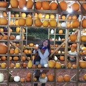 Brenda Ayon's photo