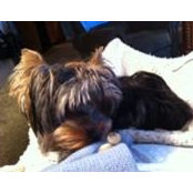 Marcia Fleck's photo