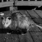Vatslav Wilson's photo
