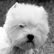 Fred Askin's photo