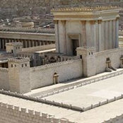 Efraim Davidi's photo
