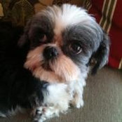 Cindy Lou's photo