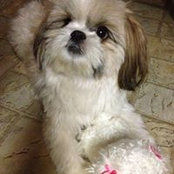 Brianne McLachlan's photo