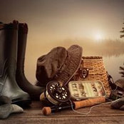 Steve Hickss foto