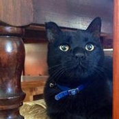 Marga Schn's photo