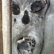 Ingrid Emming's photo