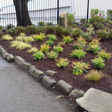New Landscape Deign