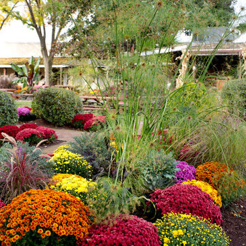 Autumn Decor & New England Road Trip