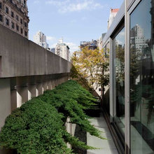 city gardens