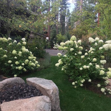 Enchanted Tahoe