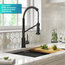 Bolden Commercial Pull-Down 1-Handle Kitchen Filter Faucet, 3-Function, MB