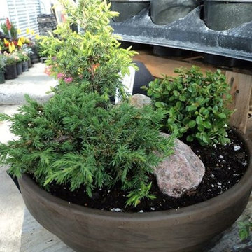 Container Gardens and Succulent Arrangements