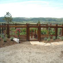 gardens