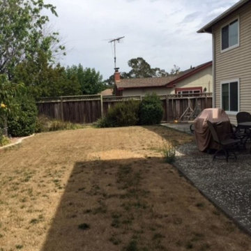 Before TLC & After TLC (San Jose Edition)