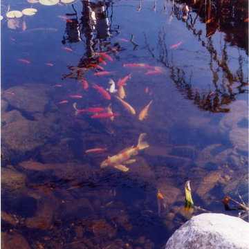 TJB-INC Display Gardens & Ponds - 12 Crestway Hamden