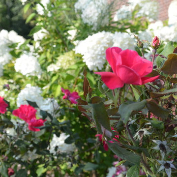 Residential Landscape Styles