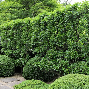 Unique Gardens