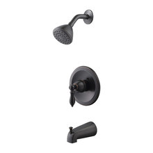 bath and shower fixtures(trim)