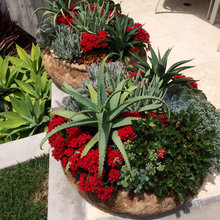 Master Patio Ideas