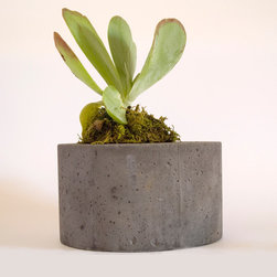 Mr Ledger Planter - Indoor Pots And Planters
