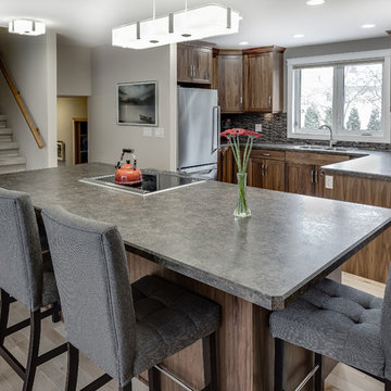 Saskatoon, Renovation - Terra