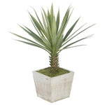 House of Silk Flowers, Inc. - Artificial Baby Yucca in White-Washed Wood Cube - You will never have to worry about caring for your succulents again. This arrangement contains an artificial baby yucca "potted" in a rustic washed-wood cube (6" x 6" x 5.5" tall). The overall dimensions are measured tip to tip, bottom of planter to tallest tip: 19" tall x 14" diameter. All measurements are approximate and will be determined by your final shaping of the item upon unpacking it. No arranging is necessary, only minor shaping, with the way in which we pack and ship our products. This is only intended for indoor use.
