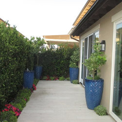 Motorized Retractable Awning - Products