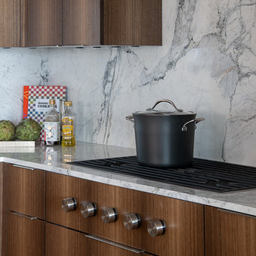 Turtle Creek High-Rise Condominium Renovation