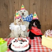 Lisa Mayles's photo