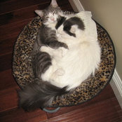 Sherry S.'s photo