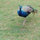 beth_smith4090