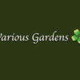 Various gardens(ヴァリアス ガーデンズ)さんのプロフィール写真