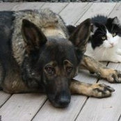 Suzanne Raponi's photo