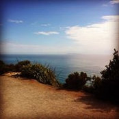 Averil Arnold's photo