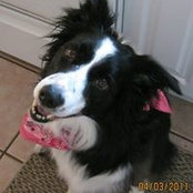 Tammy Roark's photo