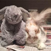 Charlene Kotwall's photo