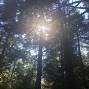 Melissa Hartness's photo