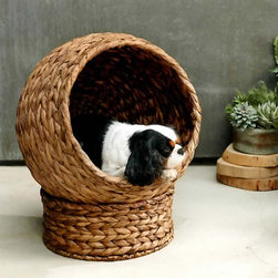 Plantana Pet Bed - Furniture