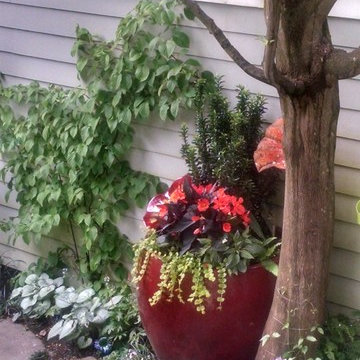 Secret Urban Garden