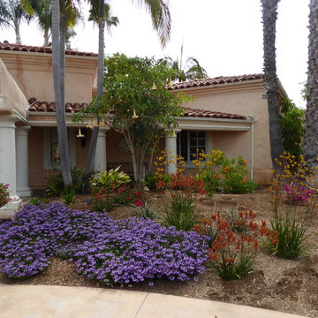 Lawn conversion in Fairbanks Ranch