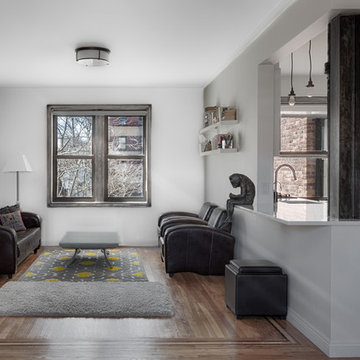 Lower Manahattan Apartment