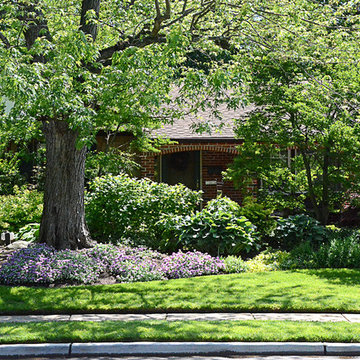 Brick house with old growth trees